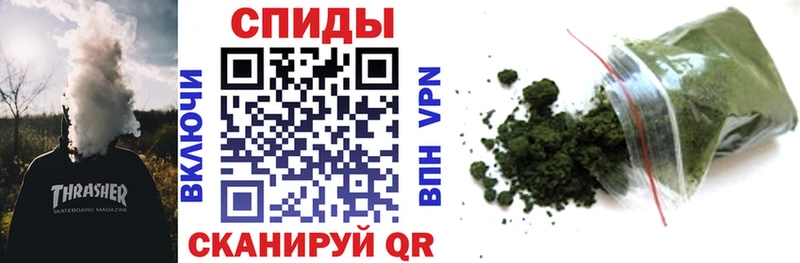 OMG вход  Кондрово  БУТИРАТ буратино 