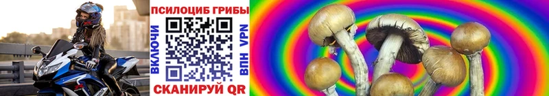 Псилоцибиновые грибы прущие грибы  Кондрово 